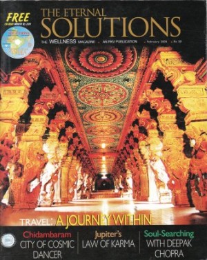Subodh Gupta article in The Eternal Solution Feb05